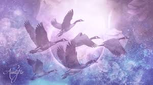 The Spiritual Significance of Flying Dreams